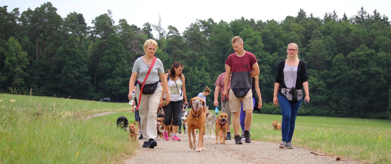 Social Cross Walk Wanderung
