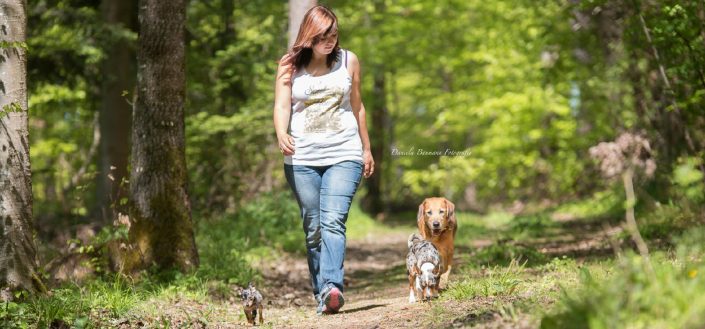 Hund und Mensch: Führung des Hundes in der Hundeschule in Steinenbronn Hund und Mensch: Führung des Hundes in der Hundeschule in Steinenbronn
