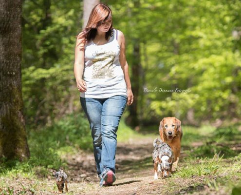 Hund und Mensch: Führung des Hundes in der Hundeschule in Steinenbronn