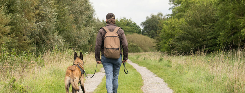 Hundetraining Malinois Hund Leinenführung Hundeschule Elementar Waldenbuch