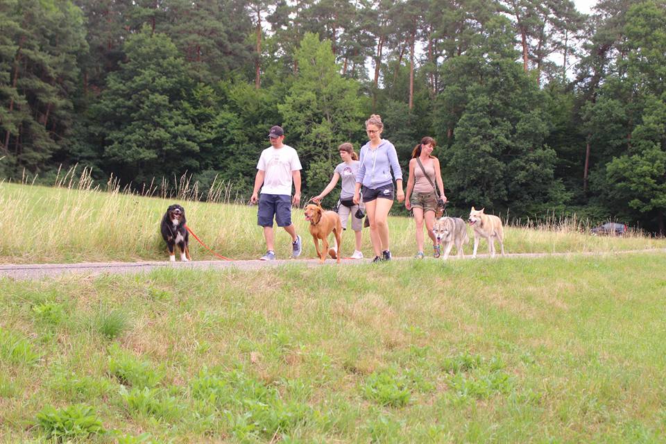 Hundeschule Elementar Katharina Lange Hundetraining in Steinenbronn und Waldenbuch